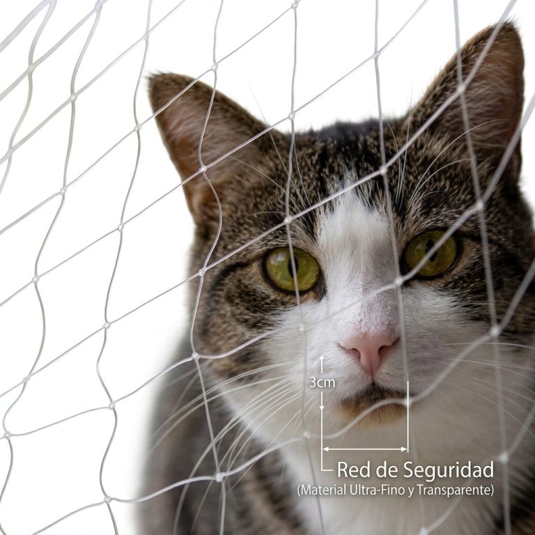 Reduce el riesgo de accidente de tu mascota